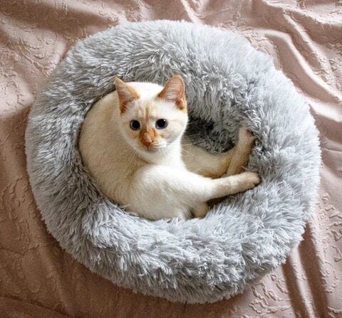 Fluffy Kalmerend Bed