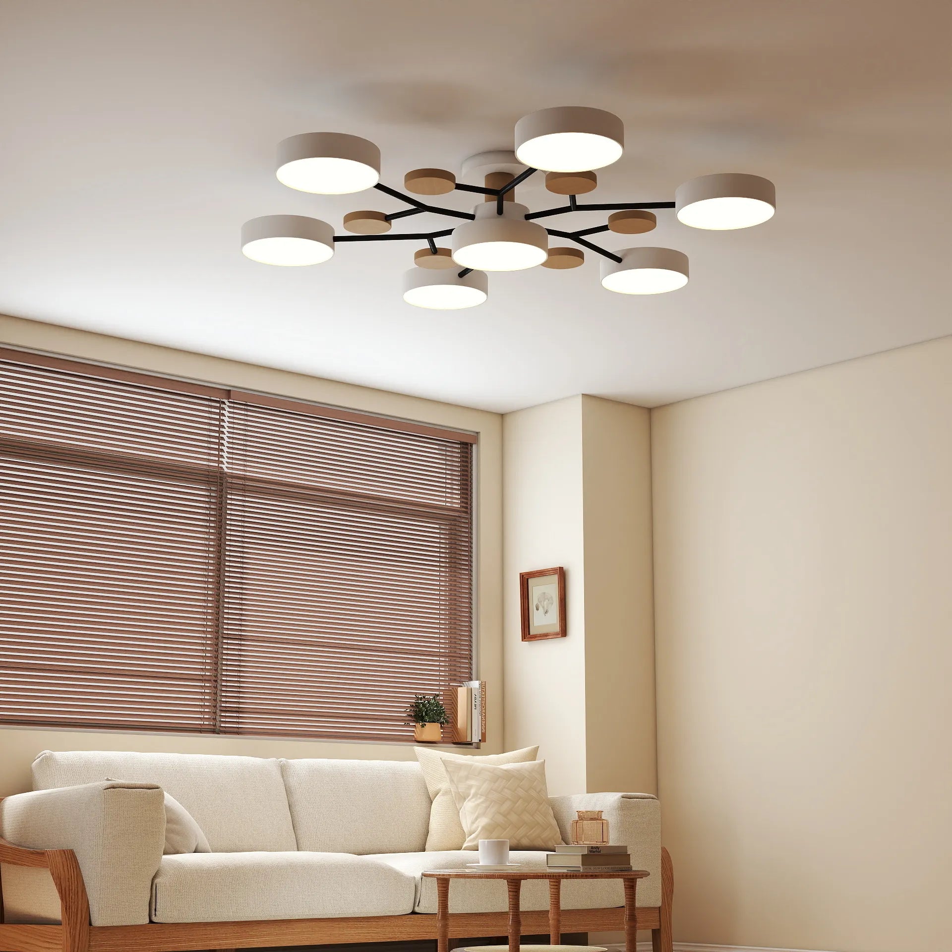 Circulaire Acryl LED Plafondlamp