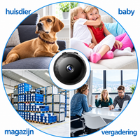 Magnetische Mini WiFi Camera 1080P HD voor Discrete Bewaking