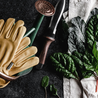 Survivalmes Van TrailForge Pro Grip Met Ergonomisch Handvat En Robuust Lemmet