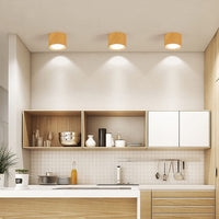 LED Plafondspot Cilinder | Verstelbaar Spotlight Design
