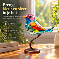 VivaBirds | Ervaar hoe deze glas-in-lood-look vogels je ruimte vullen met levendige kleuren