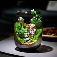 LushVista - Moslandschap Display