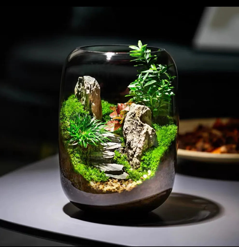 LushVista - Moslandschap Display