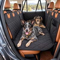 ComfortCarrier | Waar autobescherming en comfort voor je hond samenkomen | +Veilige hondenriem