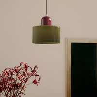 Nordic Iron Body Two-Tone Glass Pendant Light