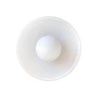 Glazen Schijf Plafond- en Wandlamp met Centrale Globe