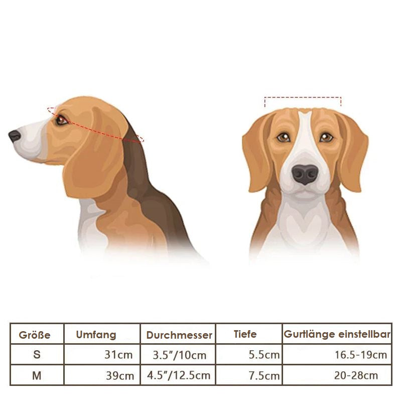 Motorhelm En Beschermbril Voor Honden – Trendy En Veilig