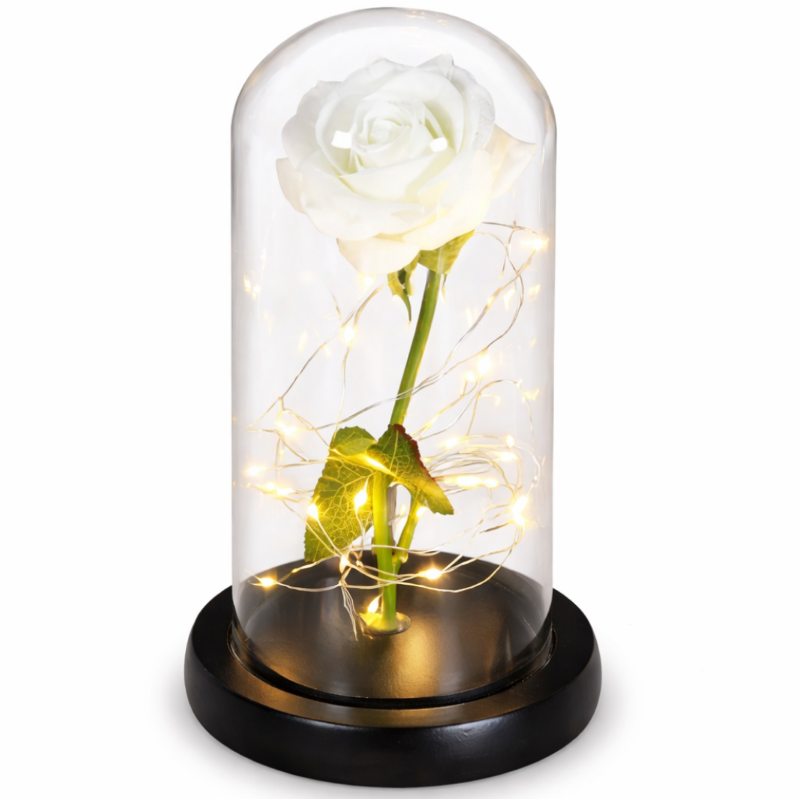 LED Eeuwige Roos