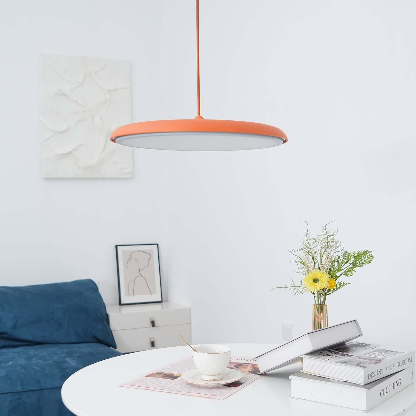 Hanglamp met Eenvoudig Ontwerp voor Moderne Interieurs
