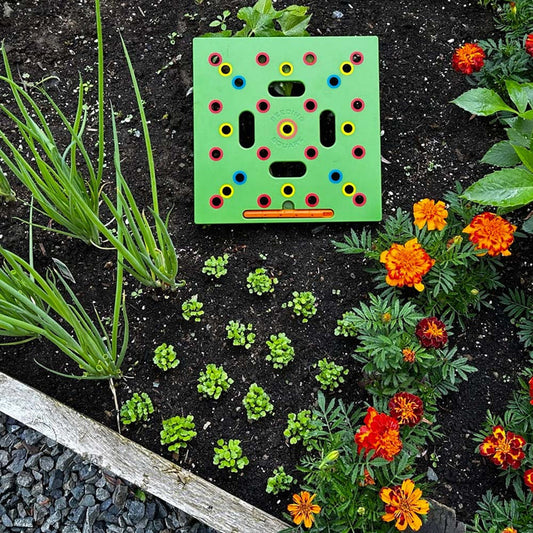 PlantPro | Georganiseerde tuin en perfecte plantgids