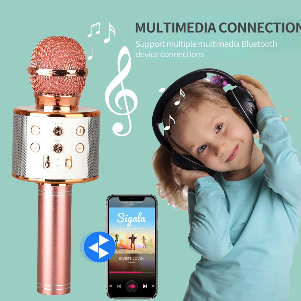 Skanto | Oplaadbare draadloze Bluetooth karaoke microfoon