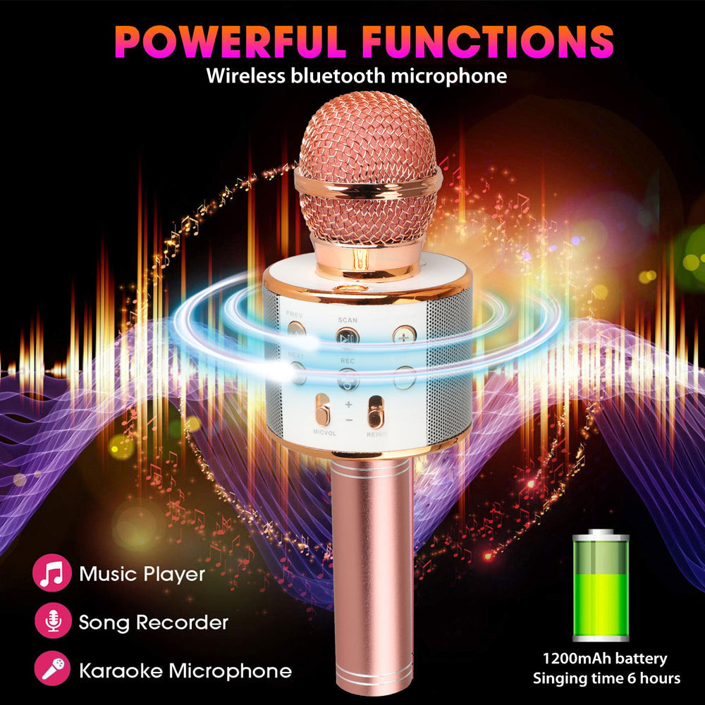 Skanto | Oplaadbare draadloze Bluetooth karaoke microfoon