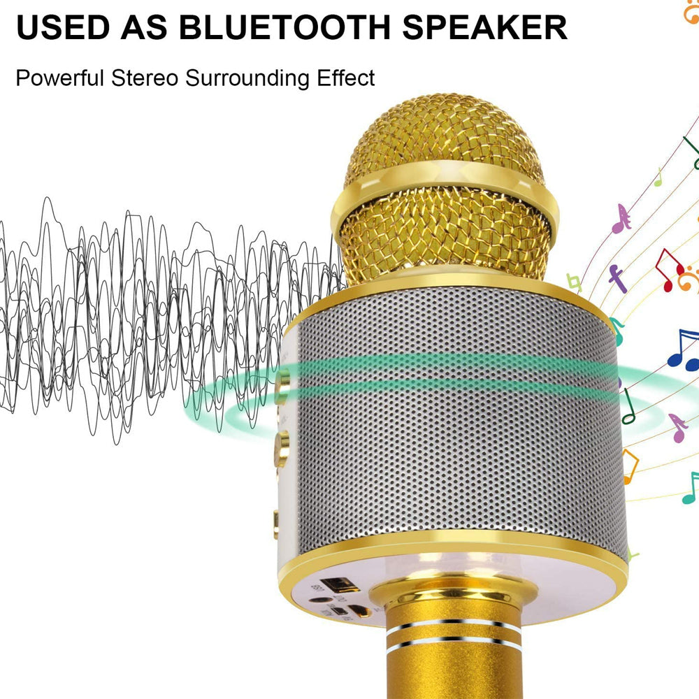 Skanto | Oplaadbare draadloze Bluetooth karaoke microfoon