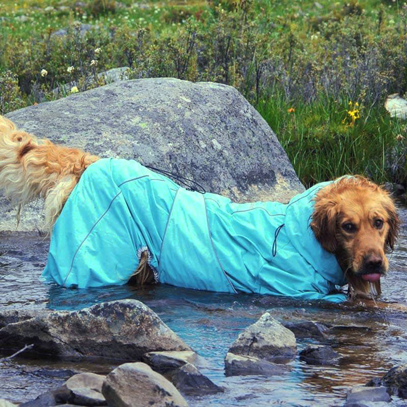 Grote Honden Outdoor Jas Waterdicht Verstelbare Honden Regenjas