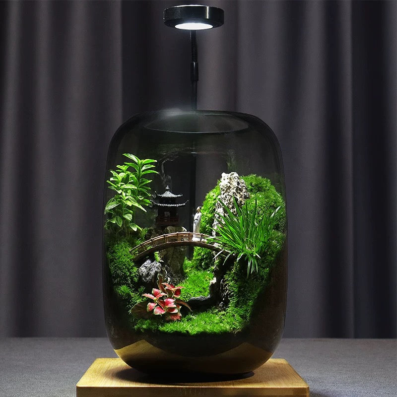 LushVista - Moslandschap Display