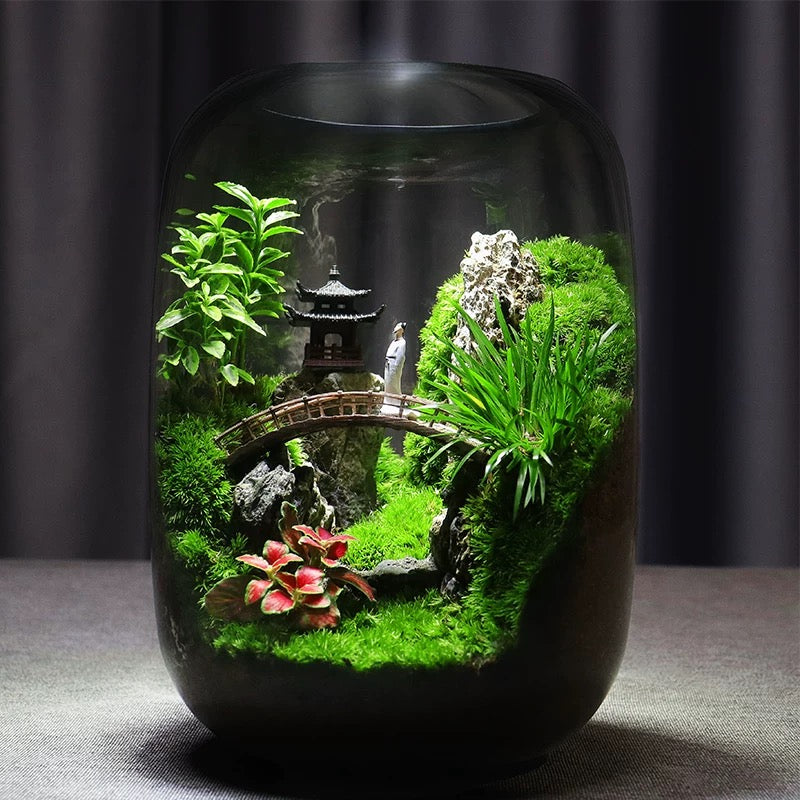 LushVista - Moslandschap Display
