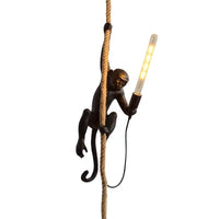 Moderne Aap Plafondlamp Hars Enkelvoudige Lamp Restaurant Hanglamp met Jute Touw