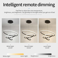 Zin Moderne Ring Hanglamp, 2/3/4 Ringen