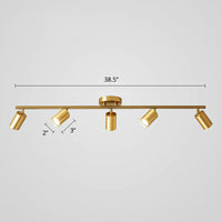 Minimalistische Spotlight Led Flush Plafondlamp Gouden Tubulaire Track Light met Metalen Kap