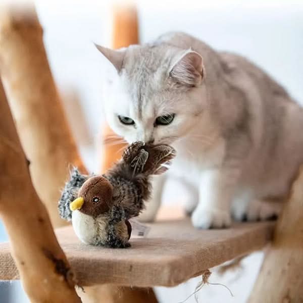 Stimuleer de natuurlijke instincten van je kat