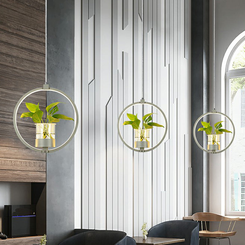 Nordic Circulaire LED Plafond Hanglamp Acryl Eetkamer Hanglamp met Glazen Plantenbak