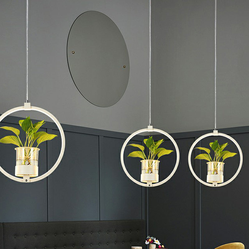 Nordic Circulaire LED Plafond Hanglamp Acryl Eetkamer Hanglamp met Glazen Plantenbak