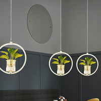 Nordic Circulaire LED Plafond Hanglamp Acryl Eetkamer Hanglamp met Glazen Plantenbak