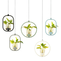 Nordic Circulaire LED Plafond Hanglamp Acryl Eetkamer Hanglamp met Glazen Plantenbak