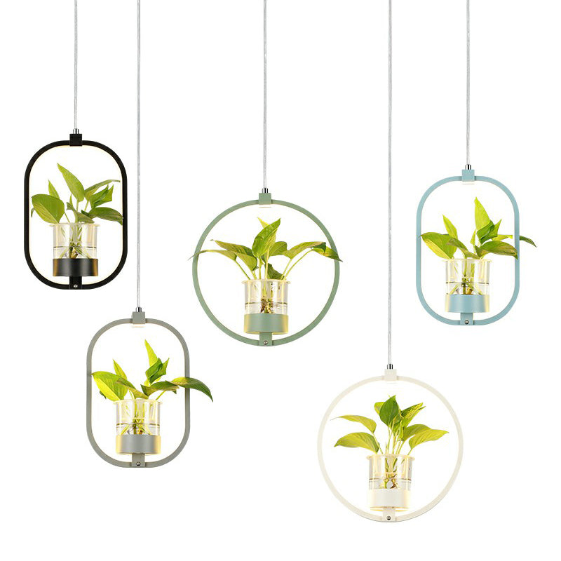 Nordic Circulaire LED Plafond Hanglamp Acryl Eetkamer Hanglamp met Glazen Plantenbak