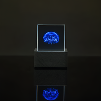 CubeVision | Met aanpasbare GIF's en realtime updates