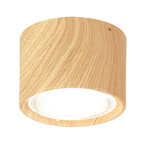 LED Plafondspot Cilinder | Verstelbaar Spotlight Design