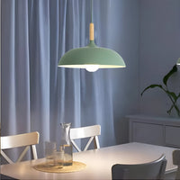 Noordse Stijl Houten IJzeren Kunst Hanglamp
