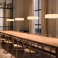 Dama Radiance Minimalistische Metalen Hanglamp