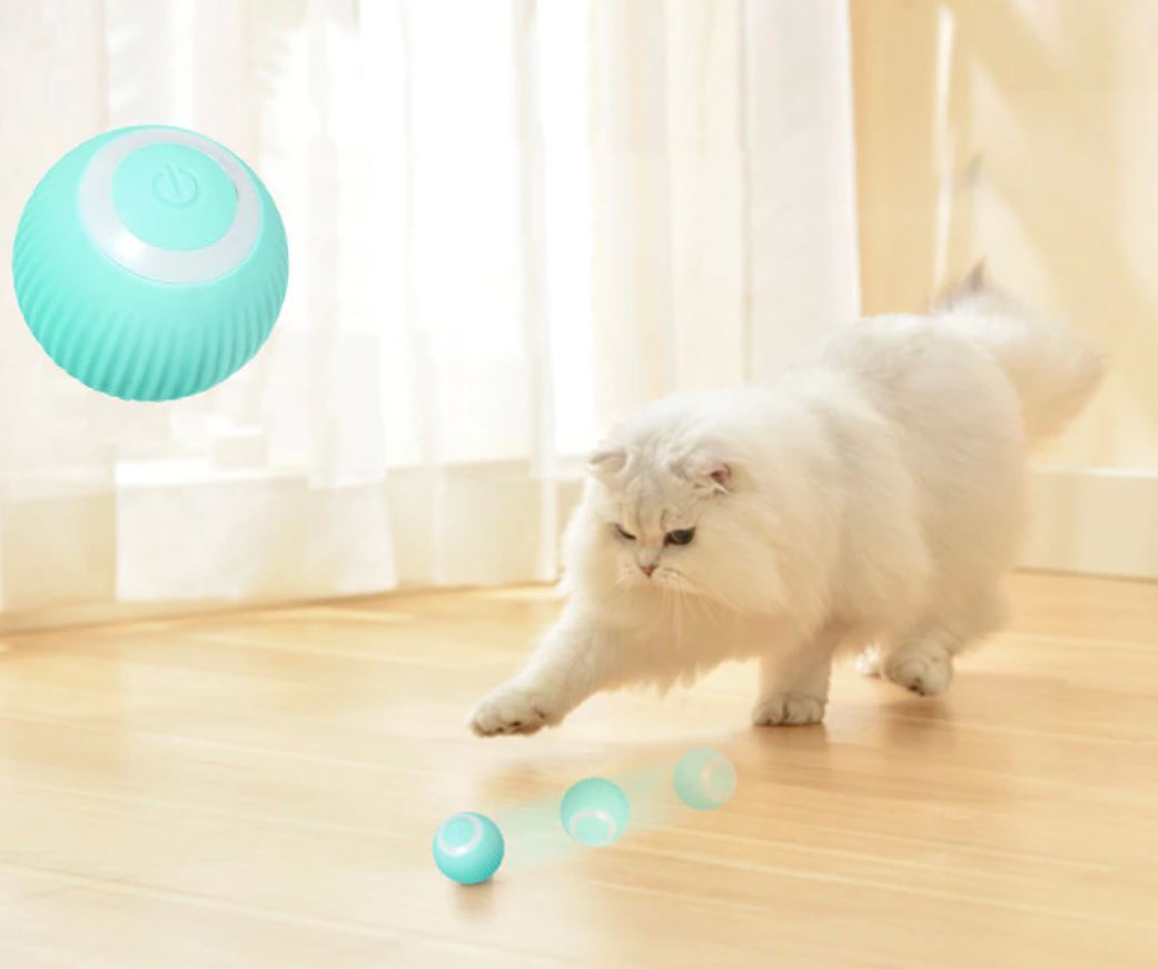 Huisdier Interactieve slimme rollende bal