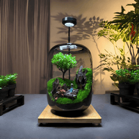 LushVista - Moslandschap Display
