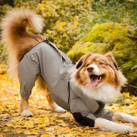 Honden Regenjas met Benen - Waterdichte Hondenjas voor Kleine en Grote Rassen | UK Cozy Winterkleding