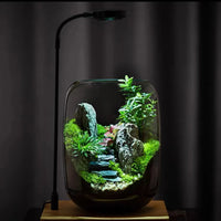 LushVista - Moslandschap Display