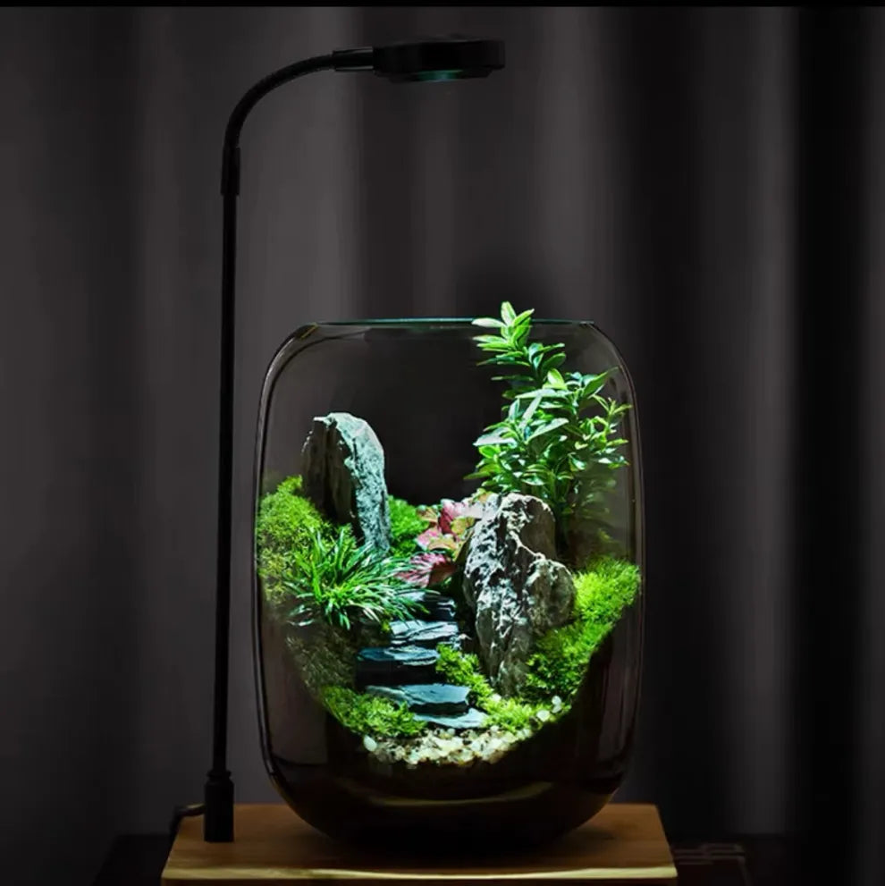 LushVista - Moslandschap Display