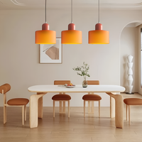 Nordic Iron Body Two-Tone Glass Pendant Light