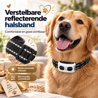 2-in-1 Draadloze Hondenomheining & Trainingshalsband – Cadeau voor Hondenliefhebber