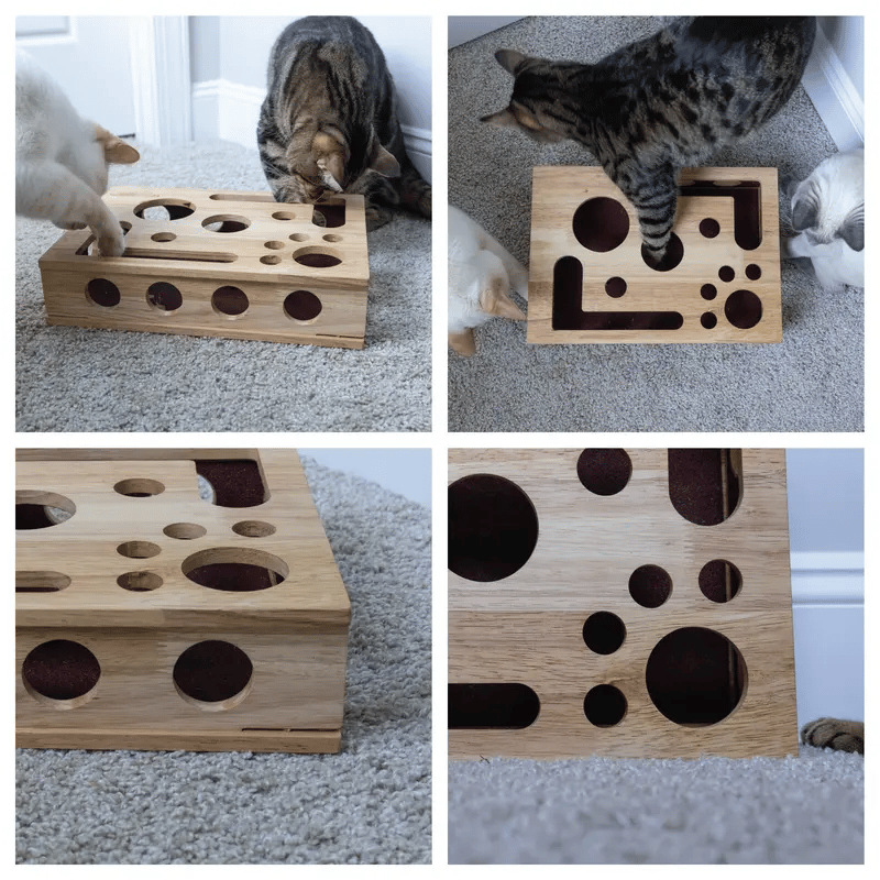 🎁😻Katten Krab Puzzel Verrijkingsdoos✨