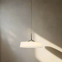 Dama Radiance Minimalistische Metalen Hanglamp