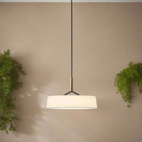 Dama Radiance Minimalistische Metalen Hanglamp