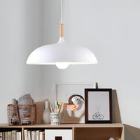 Noordse Stijl Houten IJzeren Kunst Hanglamp