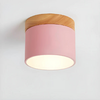 Vesta - Vintage LED Plafondlamp