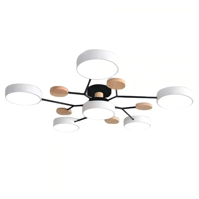 Circulaire Acryl LED Plafondlamp