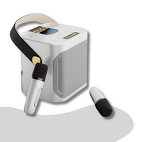 SoundBliss – Draagbare karaoke luidspreker met meeslepende audio en draadloze microfoons
