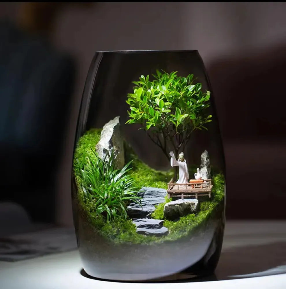 LushVista - Moslandschap Display