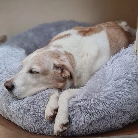 Fluffy Kalmerend Bed